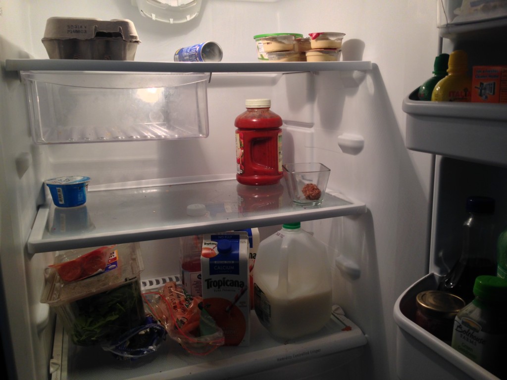 In addition to not blogging, I didn't go grocery shopping for two weeks. Can you tell?