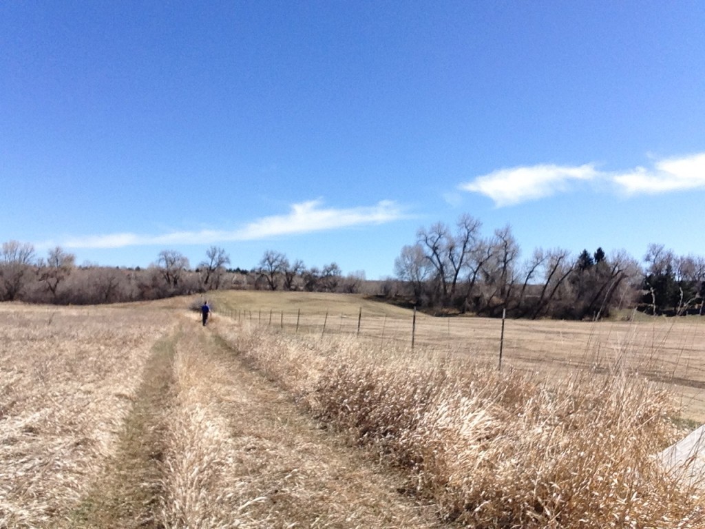 Beautiful Sunday Run