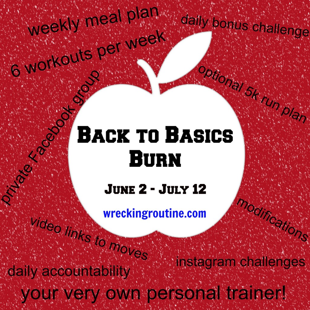 back to basics burn info