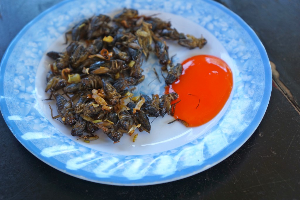 Fried crickets and hot sauce