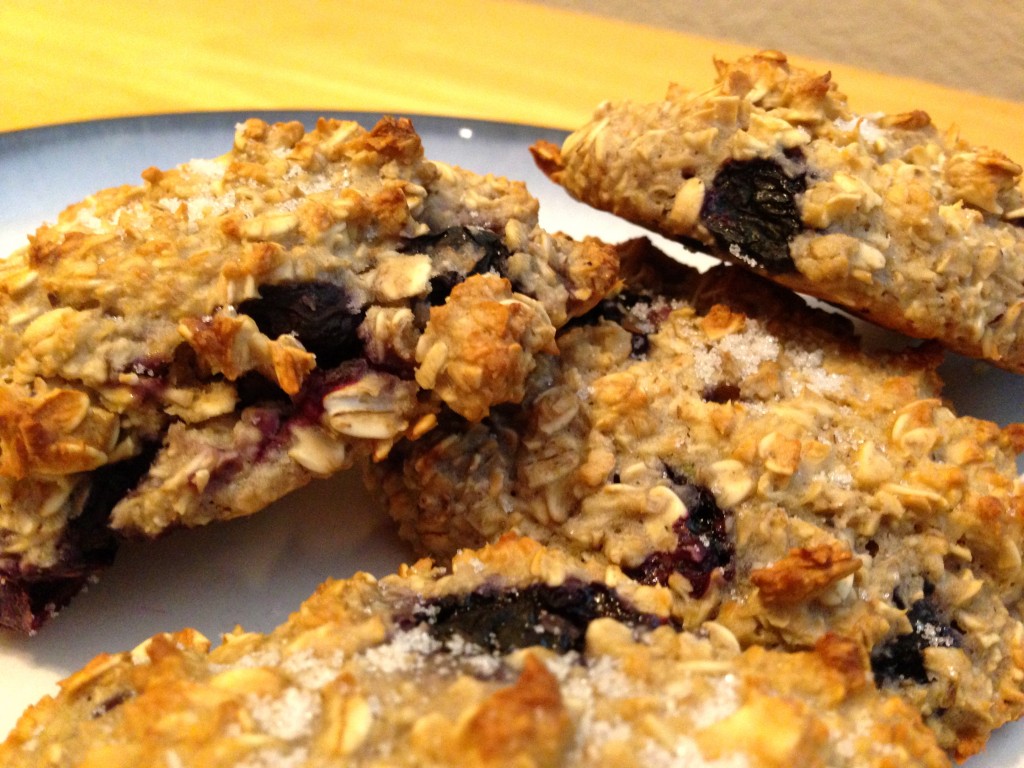 Skinny Blueberry Oat Scones