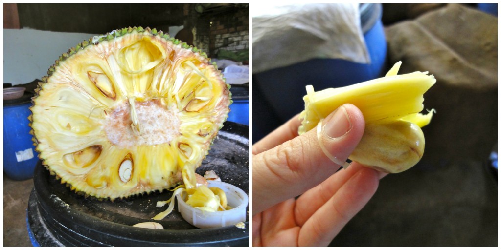 Jack Fruit