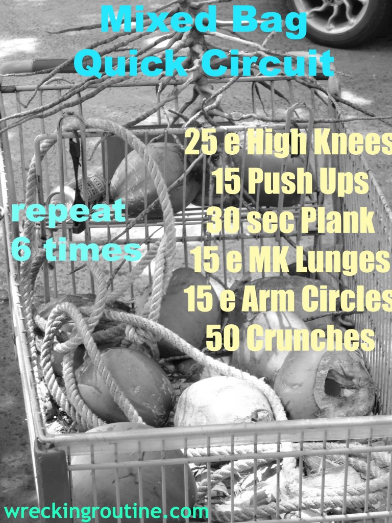 Mixed Bag Quick Circuit