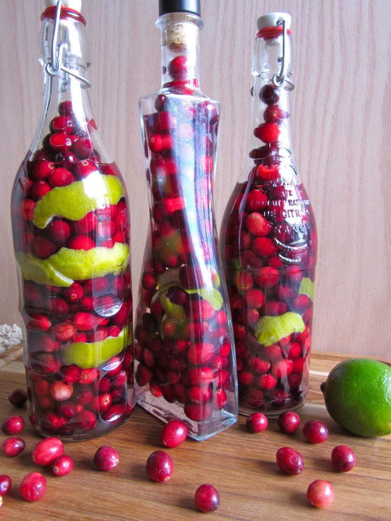 Cranberry Lime Infused Vodka