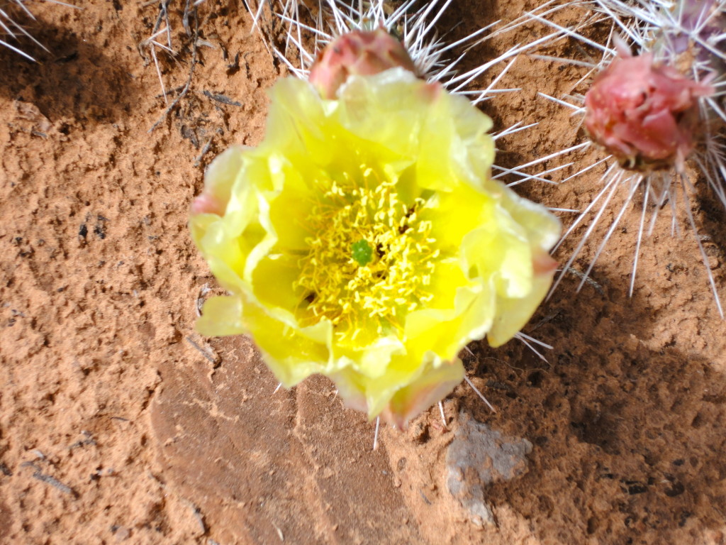 Canyonlands National Park