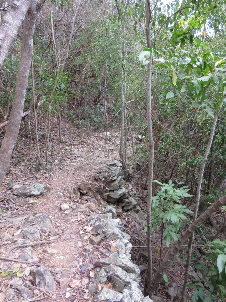 Typical St John Trail