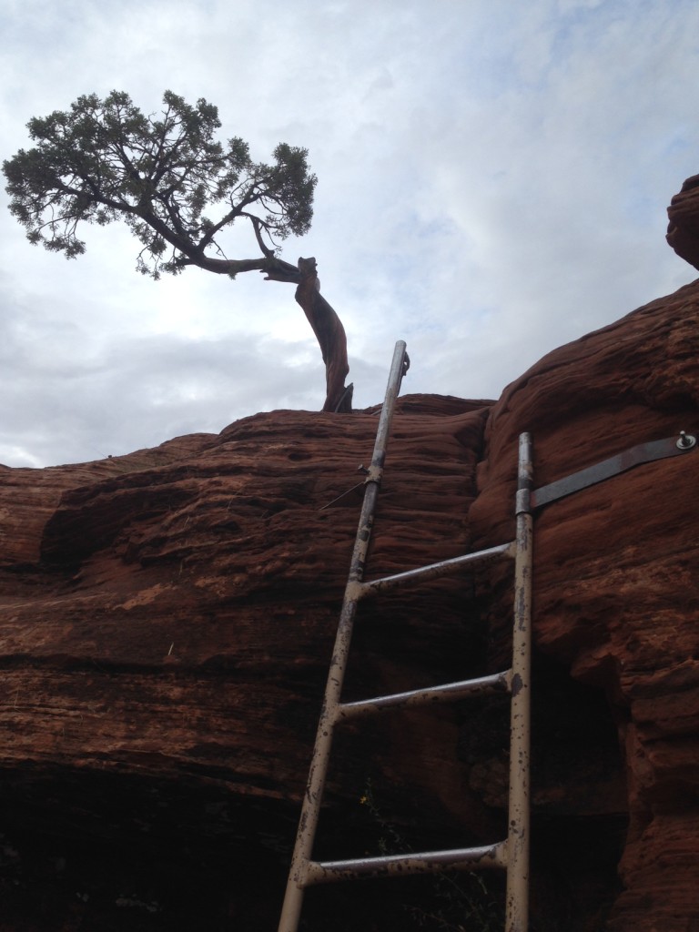 Thelma and Louise - Trail ladder