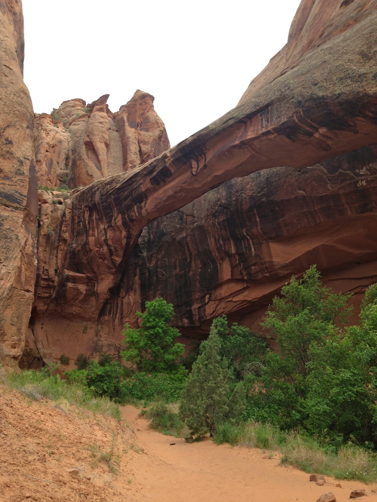 Morning Glory Bridge