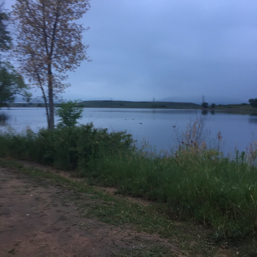 Ironman in one week - morning pond run