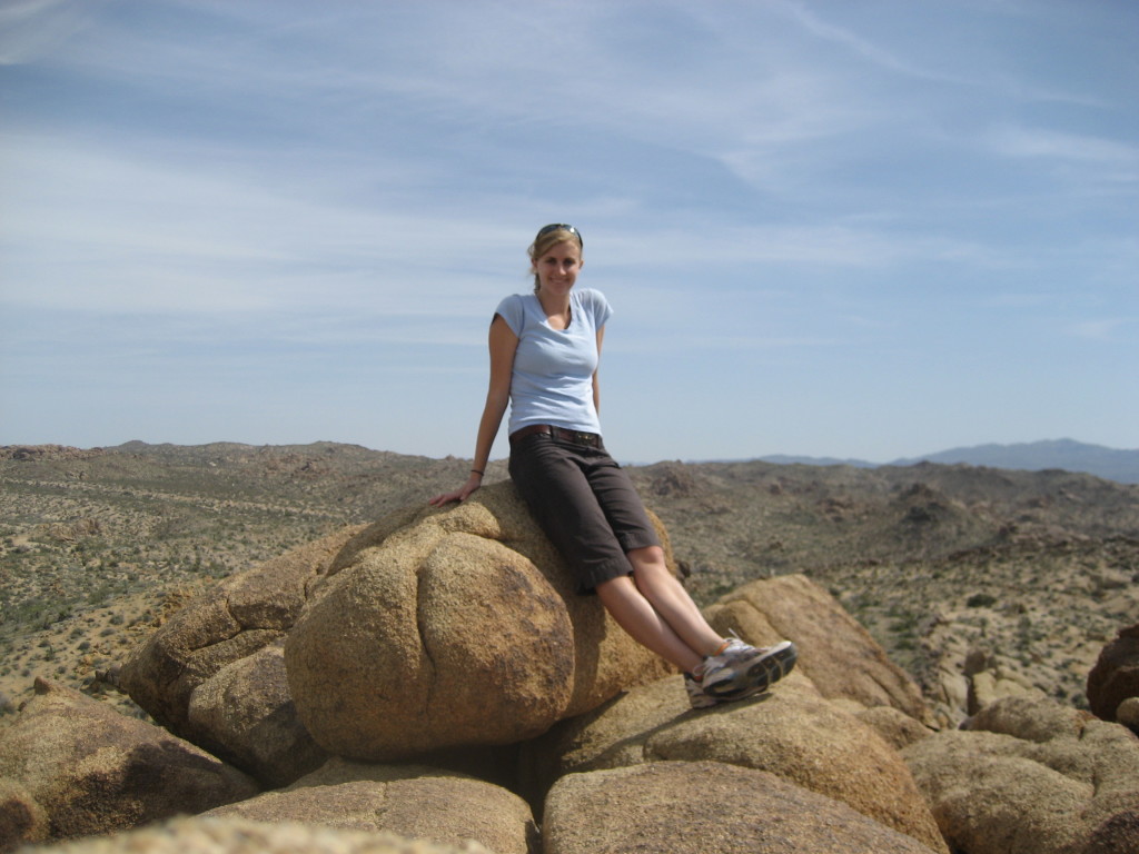 Joshua Tree - Landscape Views