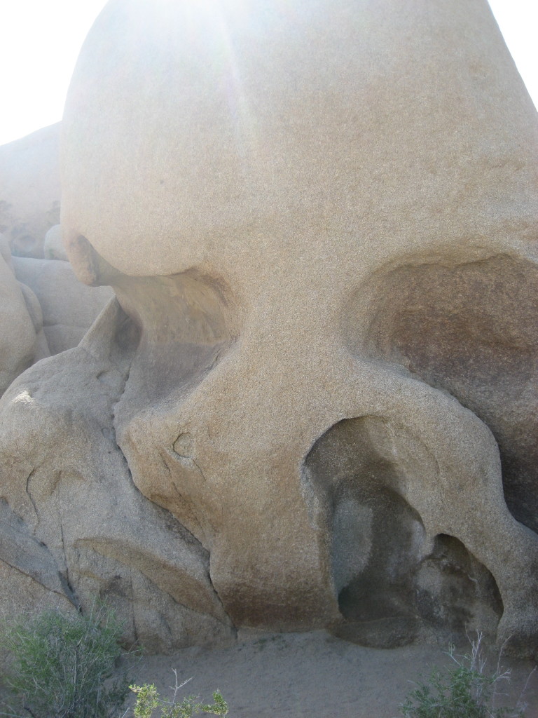 Joshua Tree - Skull Rock