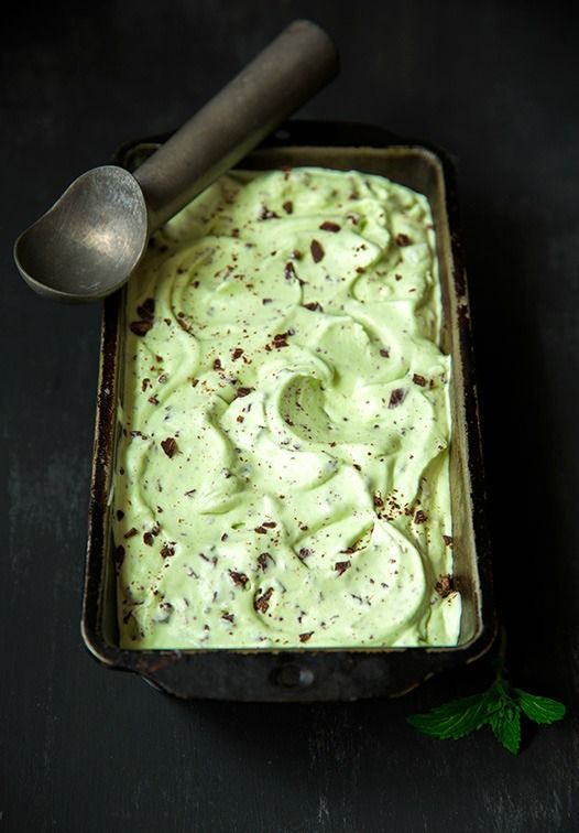 Mint Chocolate Chip Ice Cream - 4 Hour Body Girl