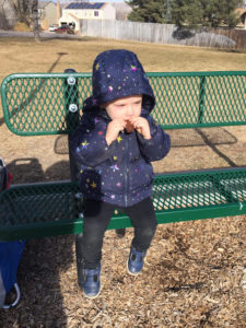 Fruit Leather as a healthy on the go snack. No added sugars or unknown ingredients.