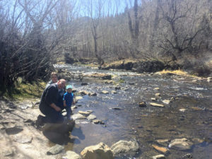 Lair o the bear park