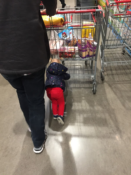 Zoey pushing the Costco cart