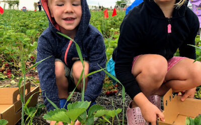 Summer Bucket List Ideas For Active Families