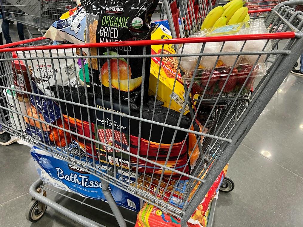Side view of a full grocery cart