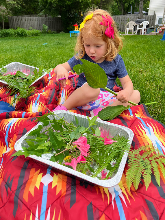 Toddler using scissors to cut leaves outside