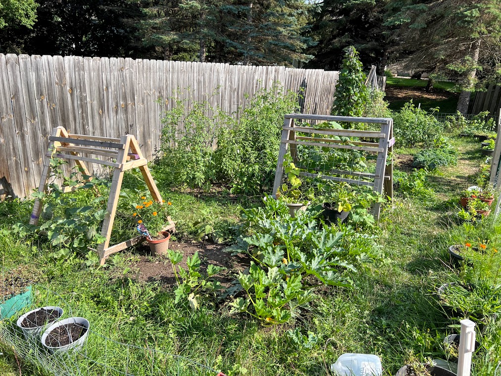 Backyard Garden to eat more greens