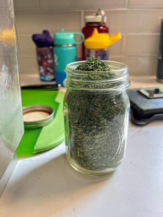 Dehydrated kale inside a mason jar to eat more greens
