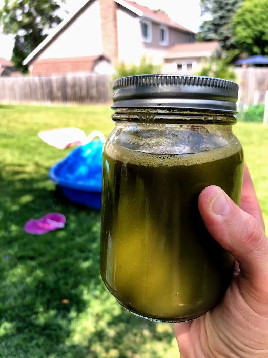 juice in mason jar with kale, carrots, apple, ginger